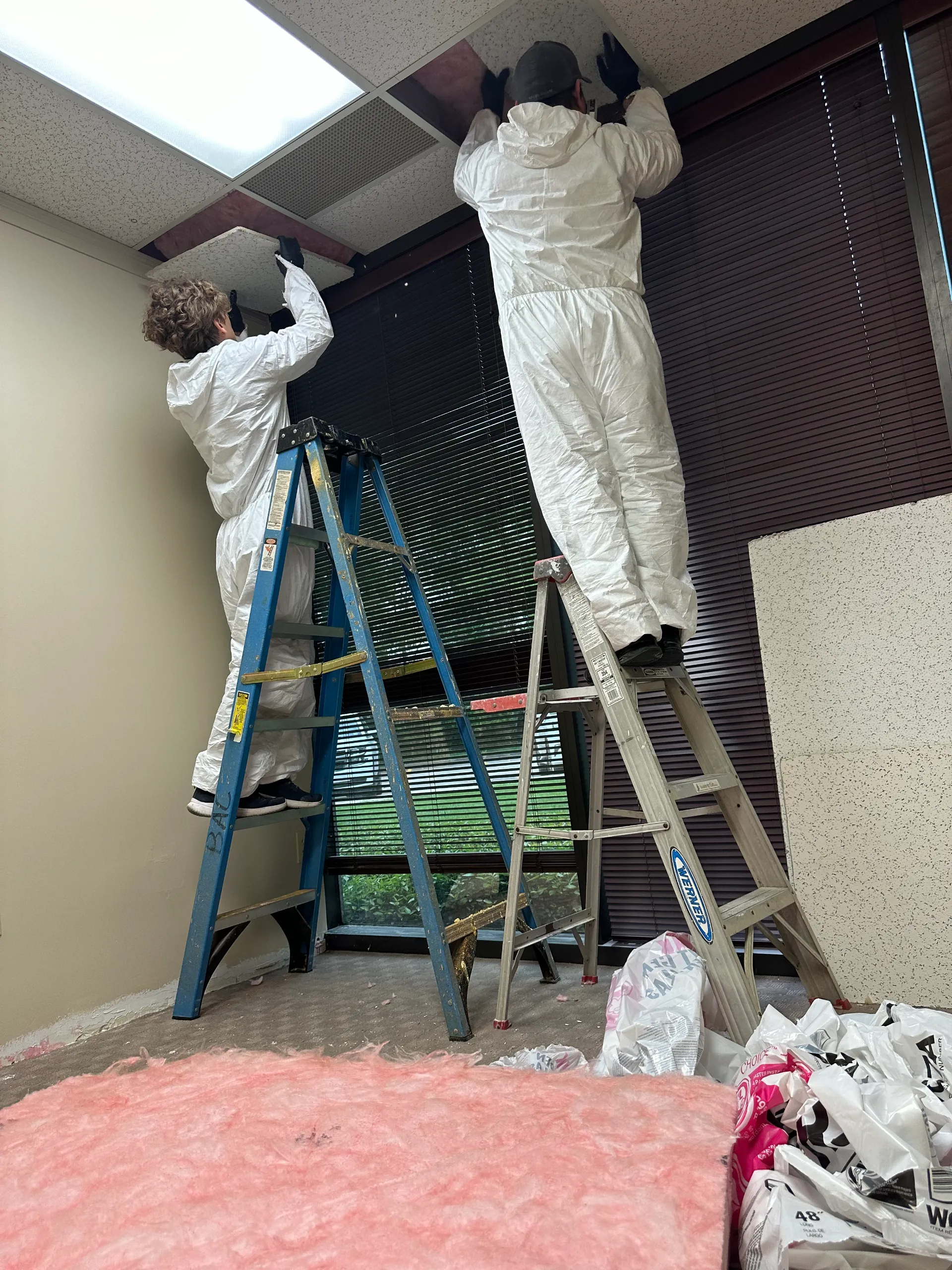 Two workers in white protective suits on ladders removing ceiling tiles near window with pink insulation on floor.
