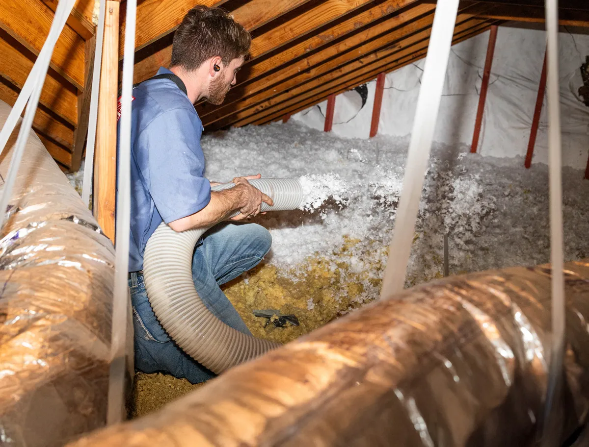 Man in attic blowing loose-fill insulation with a large hose next to wrapped HVAC ducts